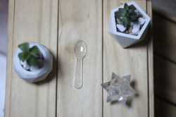 Cucharita de degustación