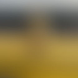 The Story Behind the Rhino Under the Hard Hat