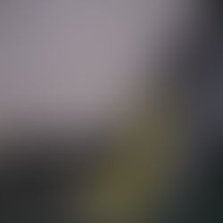 Protectapeel Isn't Just For Glass!