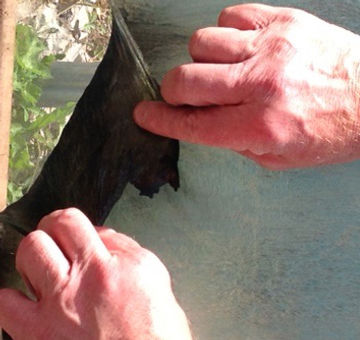 fire rated protective coating being peeled