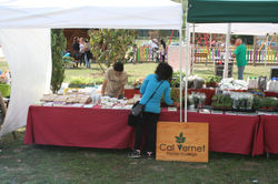 12140153_951397748253498_8073324356185887859_o