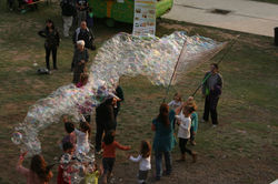 12017583_951603118232961_4179139362823238022_o