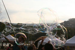 11224806_951600628233210_901102203376571919_o