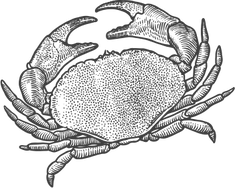 crab.png