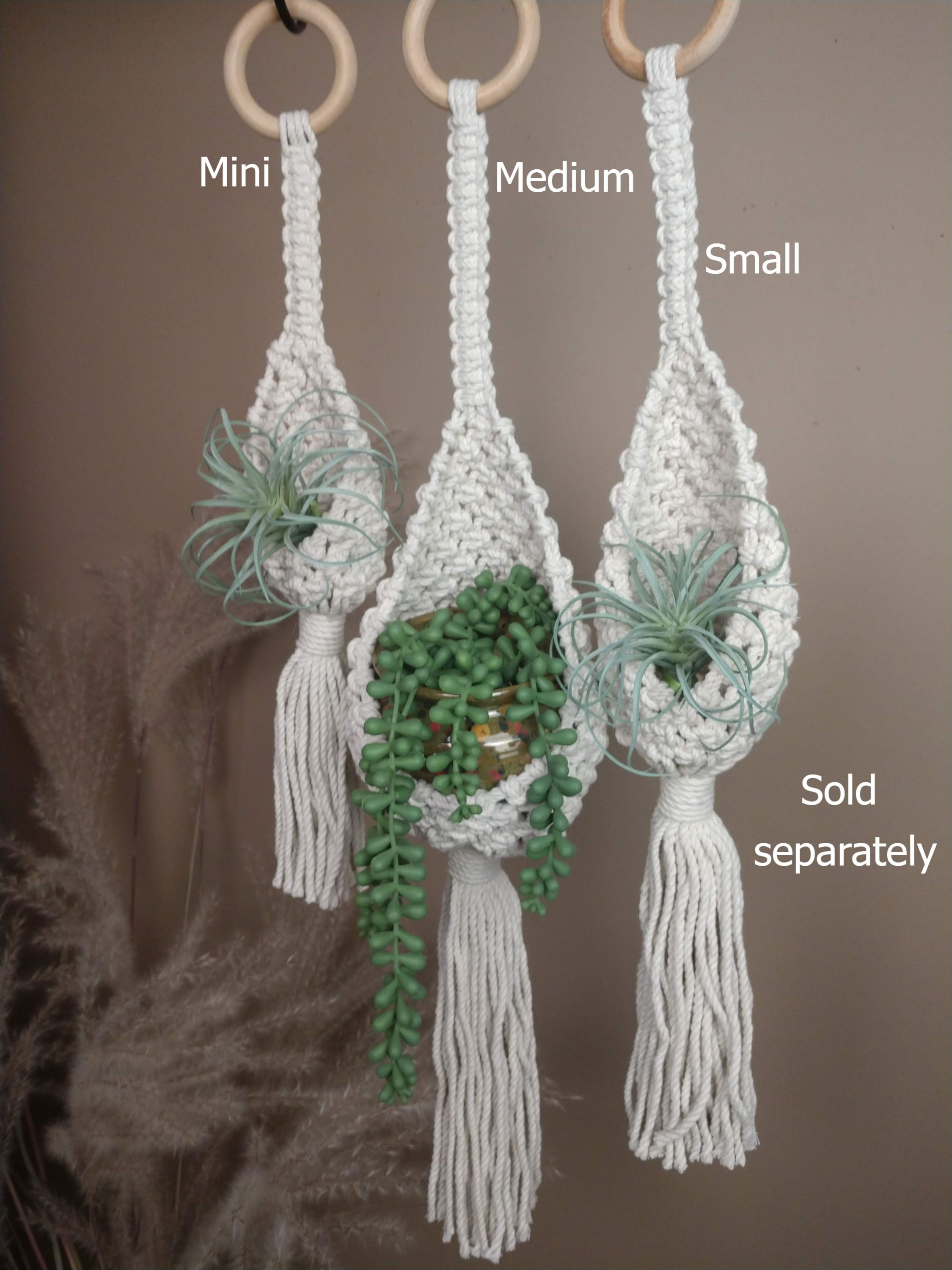 Airplant Holders