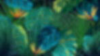 175648-vector_graphics-illustration-graphics-vector-design-2560x1440.jpg