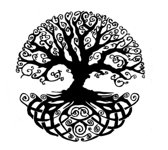 PRIVATE PAY CARE Belizima private-pay-care-belizima