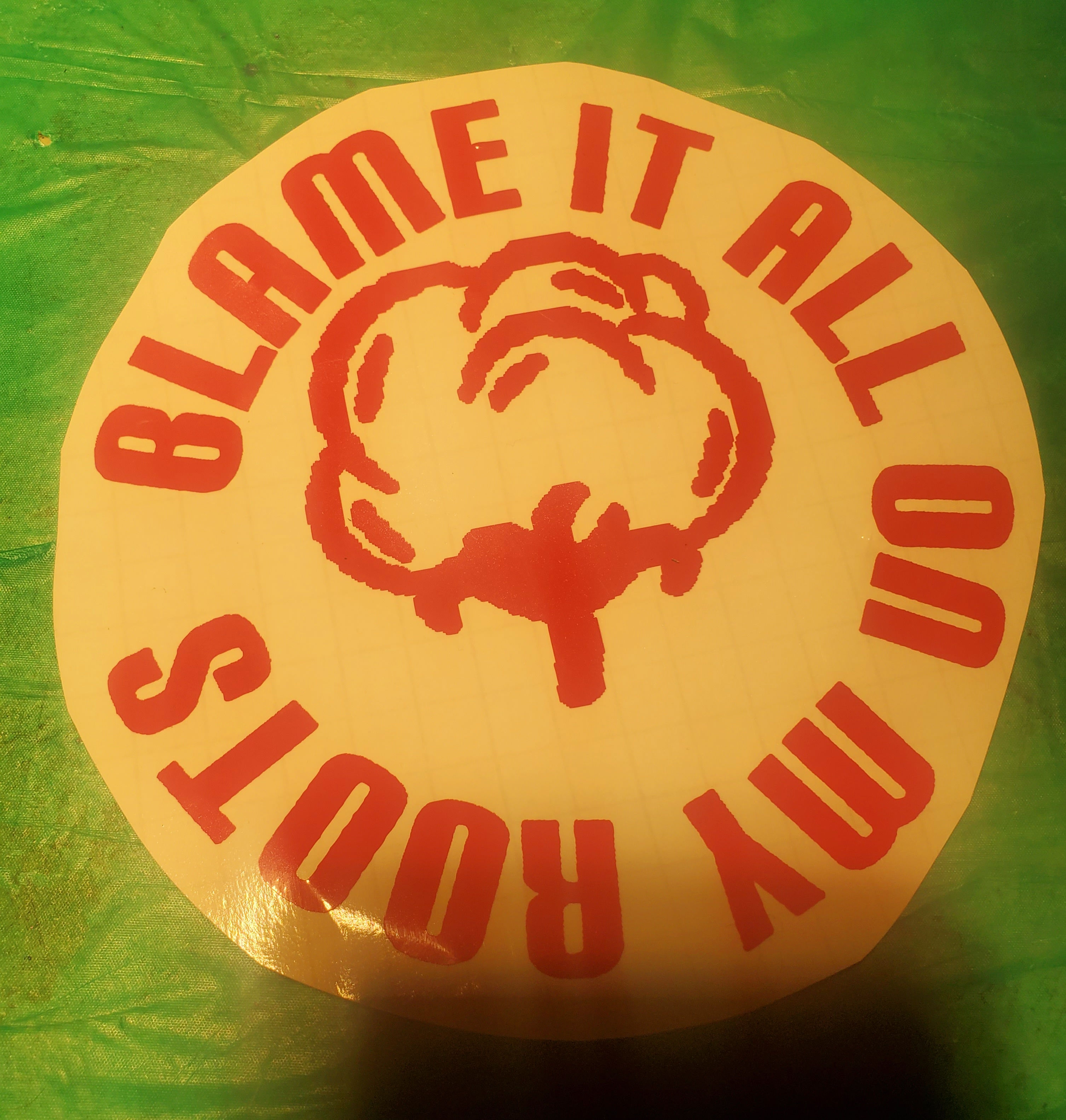 Blame it all on my roots vinyl decal