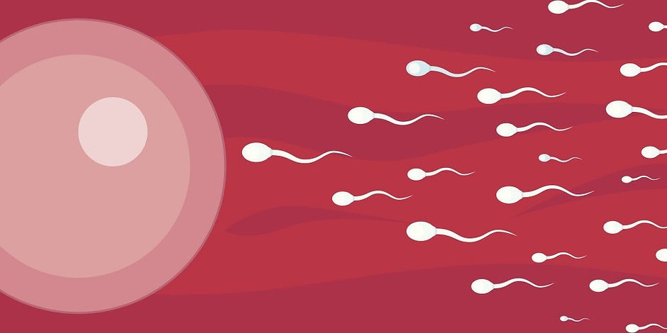 contraception-naturelle_edited.jpg
