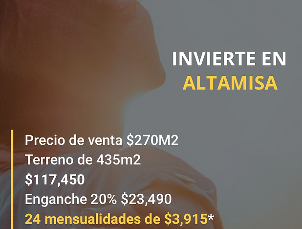 Invierte en Altamisa.png