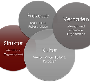 Grafik-Organisationsentwicklung.png