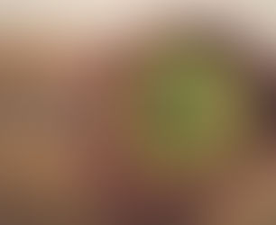 Cabbage and Sausage Soup