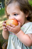 Juicy Bite