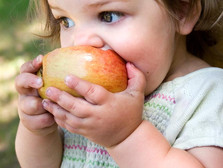 Toddlers : Nutrition