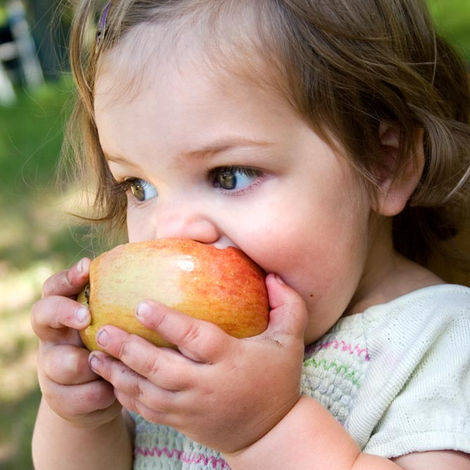 Best day care in Lynbrook, NY, 11569