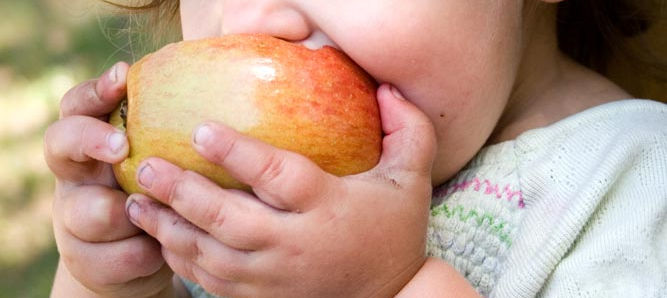 Πως να μάθετε στα παιδιά σας να τρέφονται σωστά