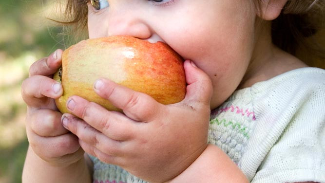 Alimentació del nadó a la vida real