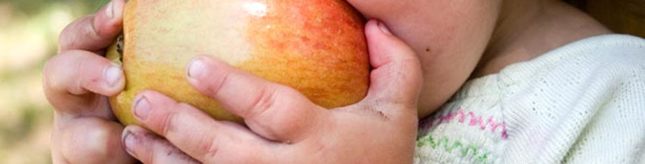Forum alimentation bébé