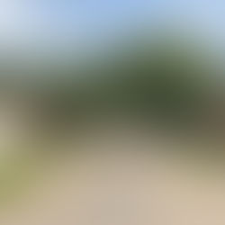 Un niño de 5 años recibió un piedrazo en la cabeza tras el ataque a una vivienda en Bermúdez