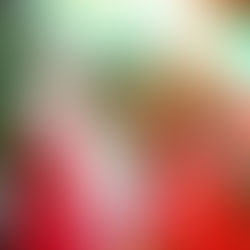 San Lorenzo vivirá otra noche mágica en la víspera de la Nochebuena