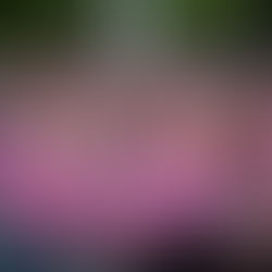 Baigorria se vistió de rosa: se realizó una nueva caminata por la concientización del cáncer de mama