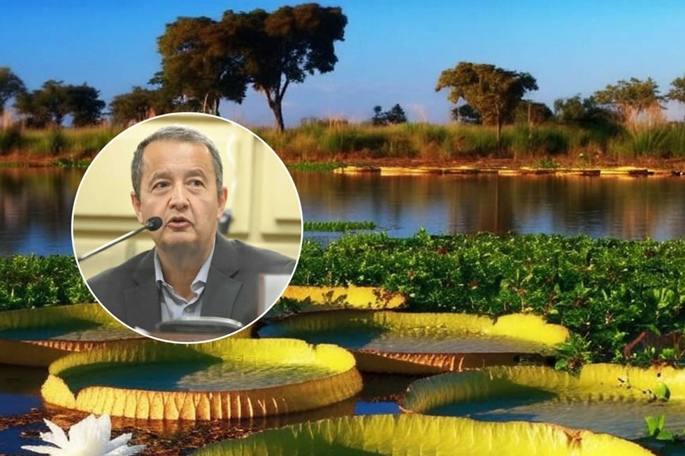Del Frade promueve una ley para establecer los derechos de la Naturaleza en Santa Fe