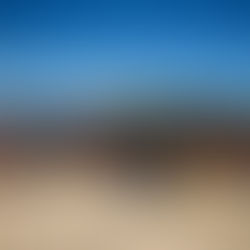 Exitosa jornada de limpieza en la Isla de los Mástiles