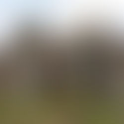 Aprobaron derogar las ordenanzas vigentes que estaban vinculadas al clan narco de Delfín Zacarías