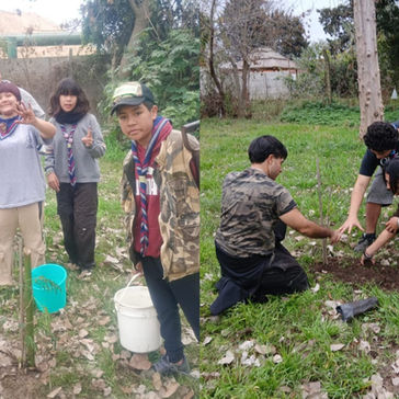 Pequeños scouts impulsaron una jornada de forestación en el Camping Municipal de Fray Luis Beltrán