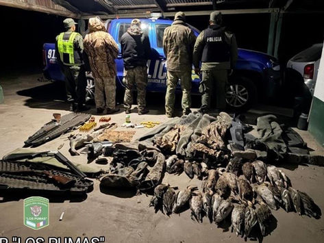 Operativos contra la caza y la pesca ilegal con secuestros, detenidos y decomisos en Beltrán y Baigorria