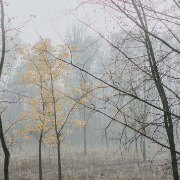 Llegó el otoño: vuelven las tormentas y se espera la llegada de frÃo polar a la región