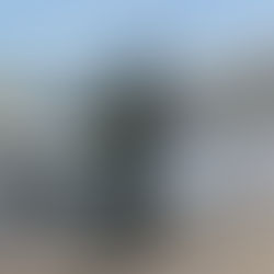 Se incendió por completo un vehículo en la zona rural de Ricardone