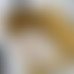 Provincia suspenderá por un año el acopio de pescado para exportación