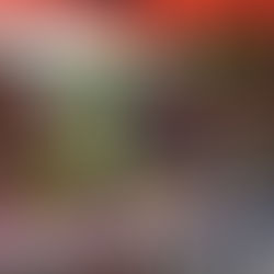 Fray Luis Beltrán realizó la primera Jornada de Intercambio de Plantines en la plaza Héroes de Malvinas