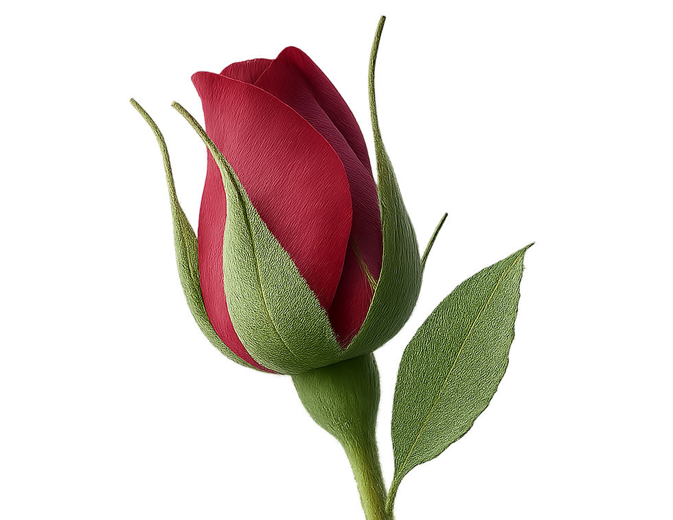rosebud2.png