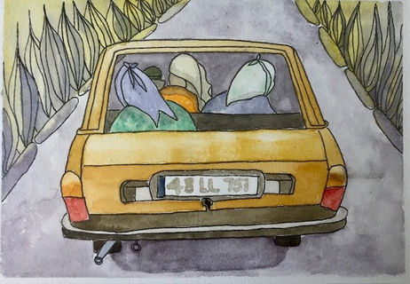 Renault 12