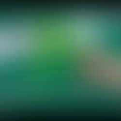 La sostenibilità sociale: un impegno strategico per le imprese