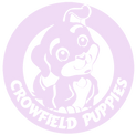 logo pink.png
