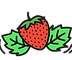 Natur-Traum.png