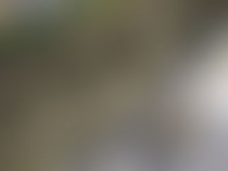 The Importance of Repointing Granite Stone Walls