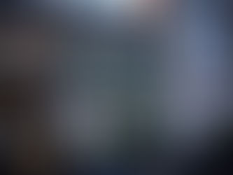 The Timeless Craftsmanship: The Importance of Masonry in Capitol Hill, Washington, D.C. Row Houses