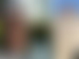 The Grandeur and Functionality of Chimneys in Washington, D.C