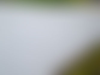 Concrete Driveway vs. Paver Driveway: Comparing the Pros and Cons