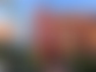 Expert Tuckpointing for Historic Homes: Best Practices and Techniques