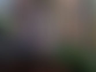 Preserving Architectural Heritage: The Timeless Beauty of Stone Caps for Cheek Walls in Washington,