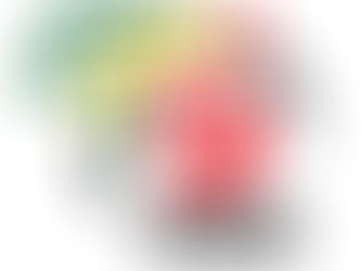 50 Anos de Independência Nacional