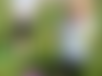 OXLEE & OZZY LEARNING TO PLAY GOLF ⛳️ 😊