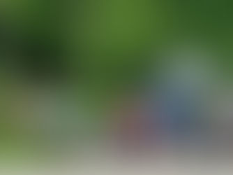 TEAM ROGER IS SUPER ORGANIZED !