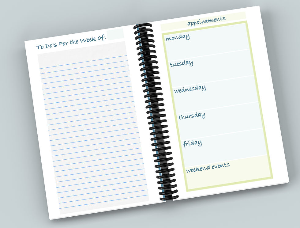 Thumbnail: 2026 Undated Weekly Pocket Planner: Hearts & Checks