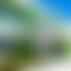 The Power of Mentorship: When Schools Create Real Connections for Student Success